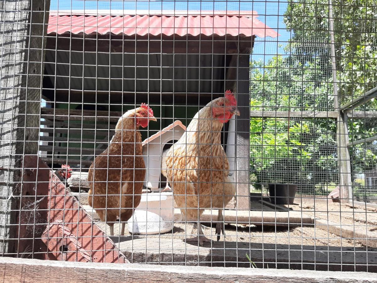 Estancia Renacimiento Atlántida Zewnętrze zdjęcie
