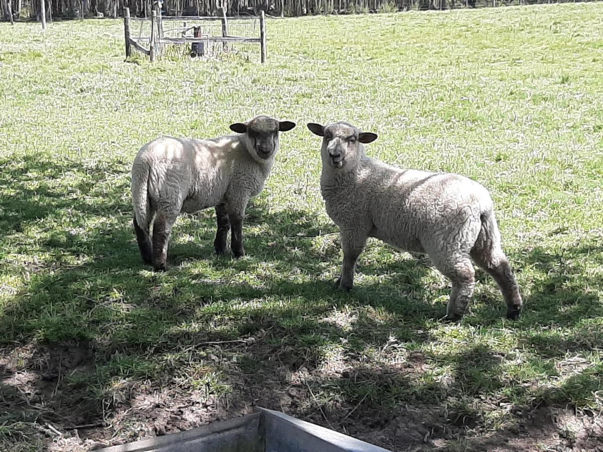 Estancia Renacimiento Atlántida Zewnętrze zdjęcie