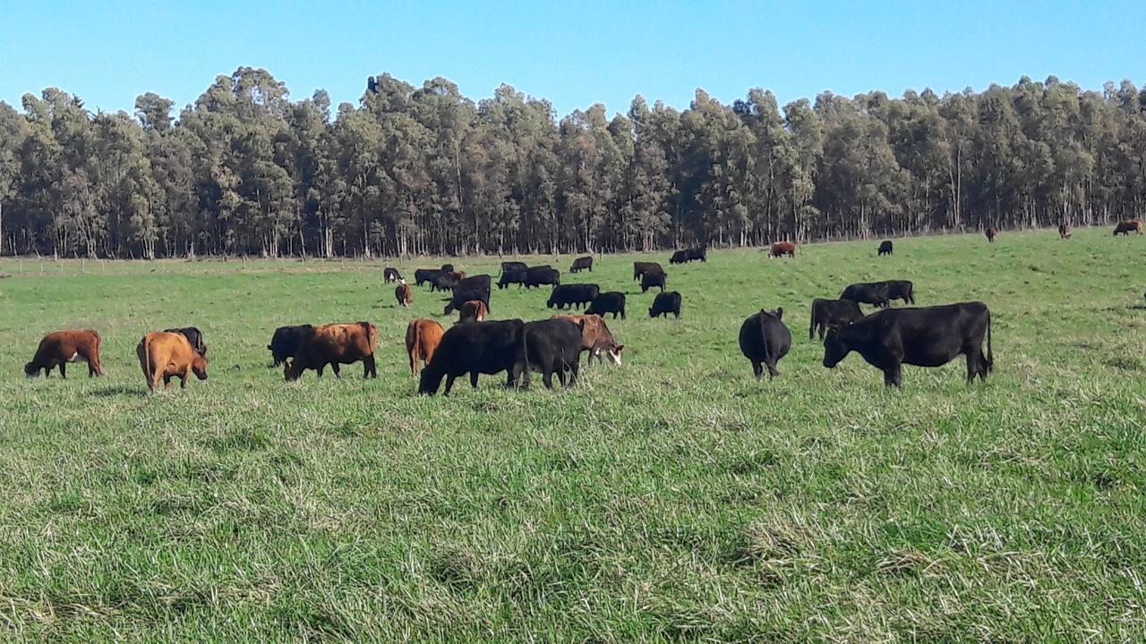Estancia Renacimiento Atlántida Zewnętrze zdjęcie